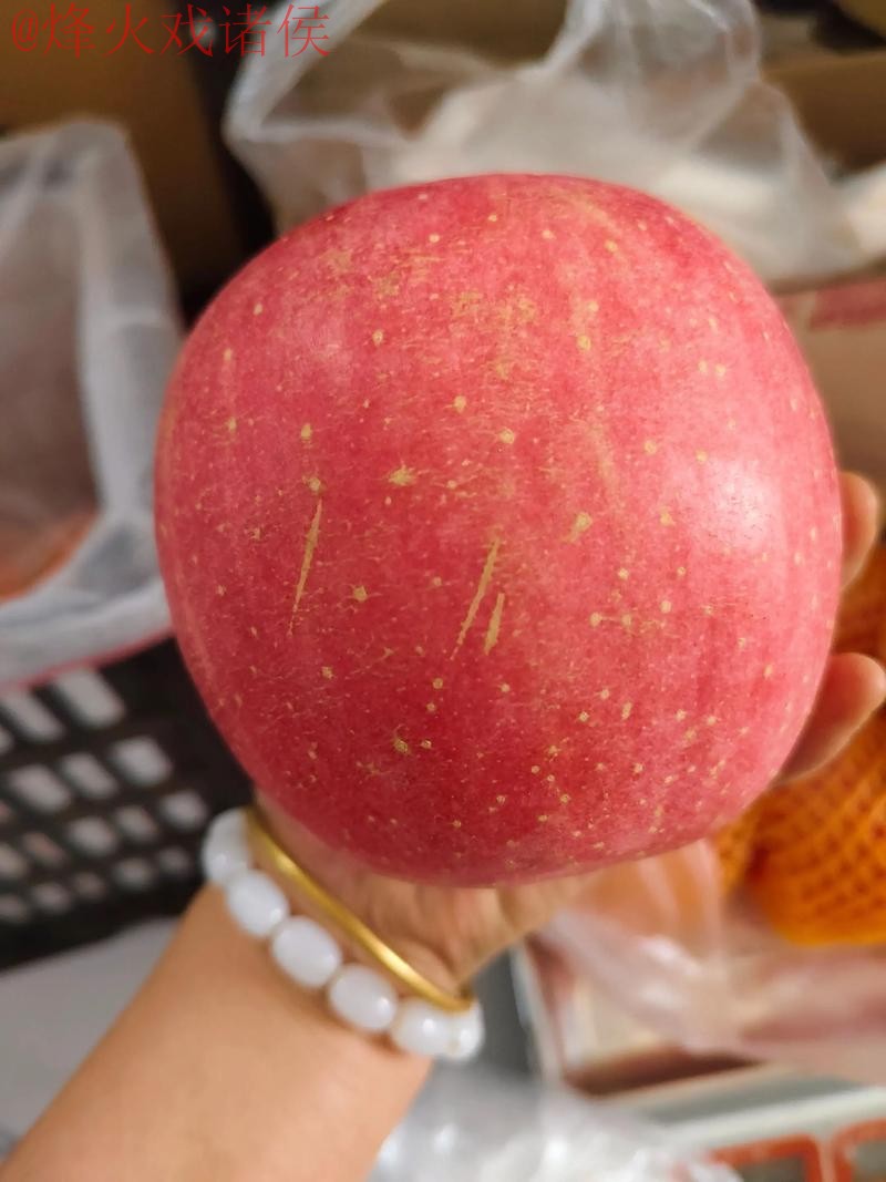 世界杯盘口苹果热门 世界杯盘口苹果热门